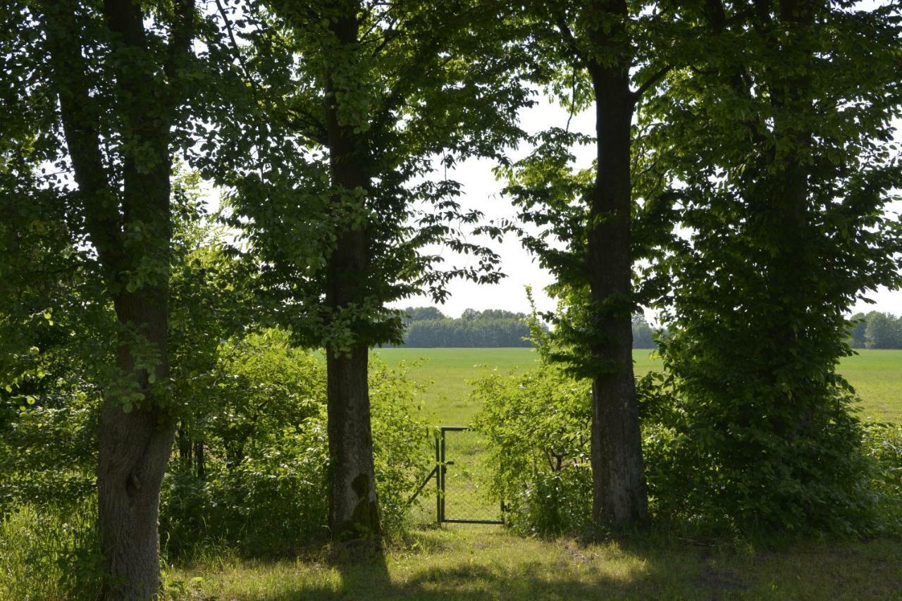 Mamrowisko Villa Węgorzewo Exteriör bild